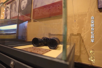 听，我的故事系列 01 血染镜身忆将军