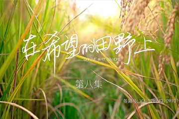 在希望的田野上 08